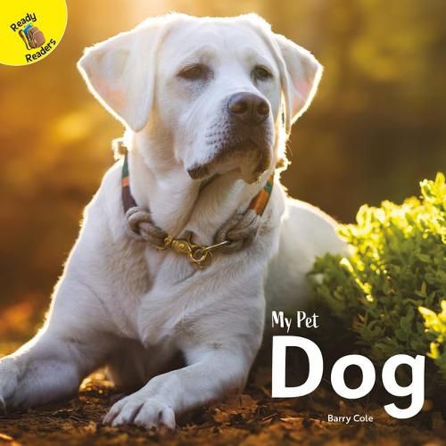 Cover image for Dog