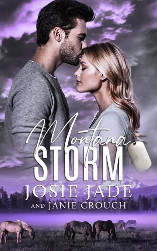 Cover image for Montana Storm