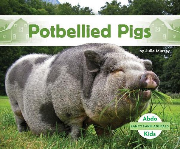 Cover image for Potbellied Pigs