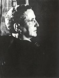 Cover image for Gertrude Stein Remembered