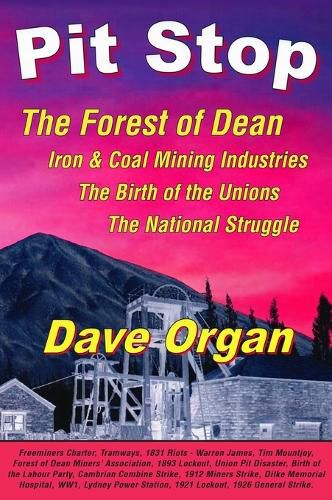 Cover image for Pit Stop