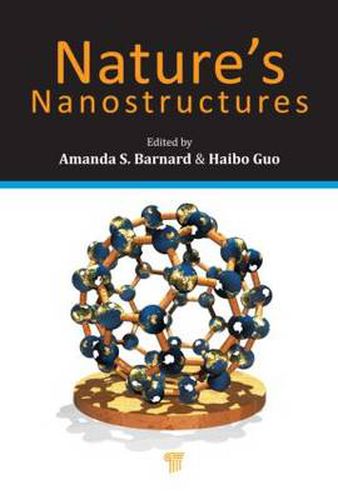 Cover image for Nature's Nanostructures