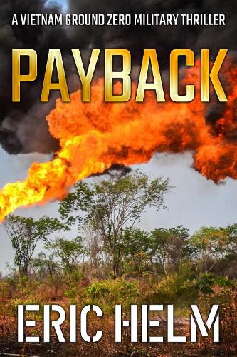 Cover image for Payback