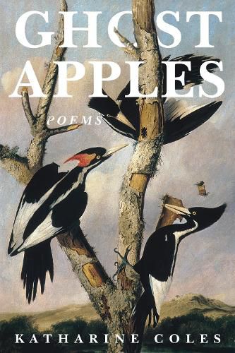 Cover image for Ghost Apples