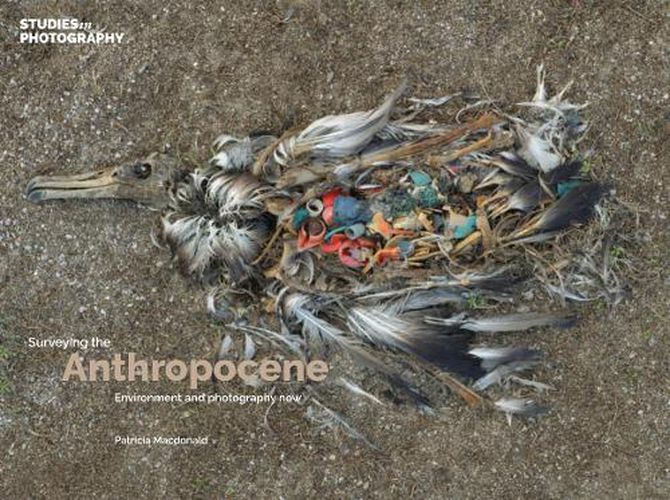 Cover image for Surveying the Anthropocene:: Environment and Photography Now