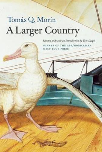 Cover image for A Larger Country