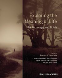 Cover image for Exploring the Meaning of Life: An Anthology and Guide