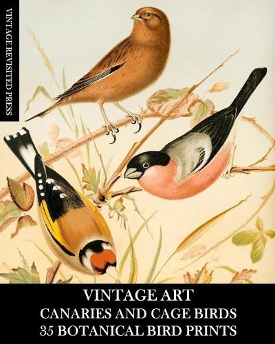 Vintage Art: Canaries and Cage Birds 35 Botanical Prints: Ephemera for Framing, Decoupage, and Mixed Media