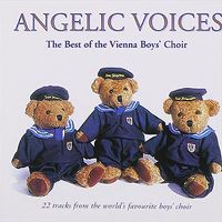 Cover image for The Best Of The Vienna Boys' Choir