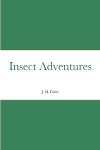 Cover image for Insect Adventures