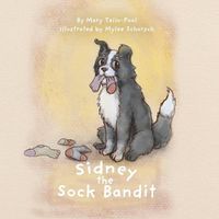 Cover image for Sidney the Sock Bandit