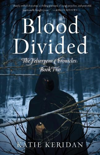 Cover image for Blood Divided