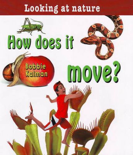 Cover image for How Does it Move?