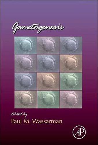 Gametogenesis