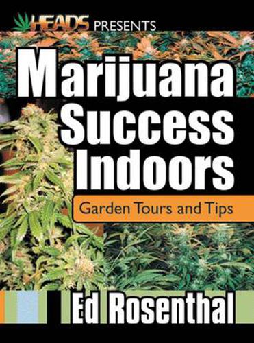 Marijuana Success Indoors