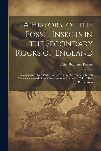 Cover image for A History of the Fossil Insects in the Secondary Rocks of England