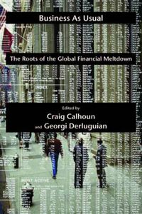 Cover image for Business as Usual: The Roots of the Global Financial Meltdown