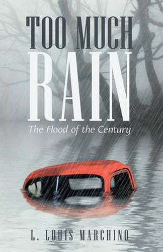 Cover image for Too Much Rain