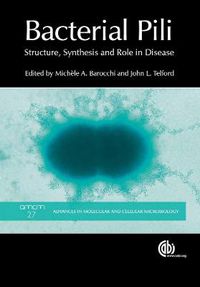 Cover image for Bacterial Pili: Structure, Synthesis and Role in Disease