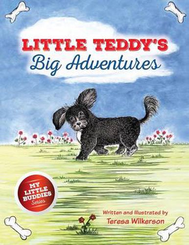 Cover image for Little Teddy's Big Adventures