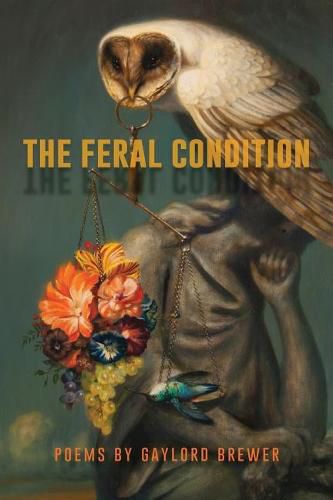 Cover image for The Feral Condition