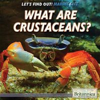 Cover image for What Are Crustaceans?