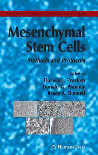 Cover image for Mesenchymal Stem Cells: Methods and Protocols