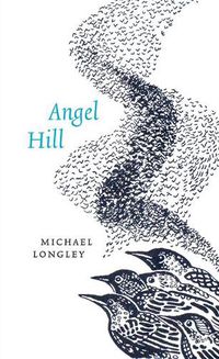 Cover image for Angel Hill