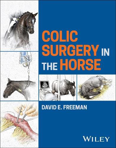 Cover image for Colic Surgery in the Horse