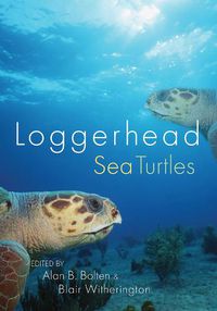 Cover image for Loggerhead Sea Turtles