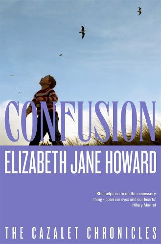 Cover image for Confusion
