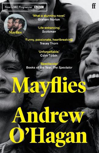 Cover image for Mayflies