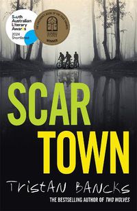 Cover image for Scar Town