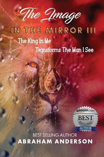 Cover image for The Image in the Mirror III