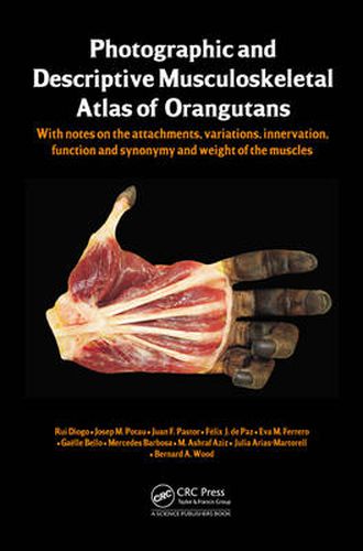 Cover image for Photographic and Descriptive Musculoskeletal Atlas of Orangutans: with notes on the attachments, variations, innervations, function and synonymy and weight of the muscles