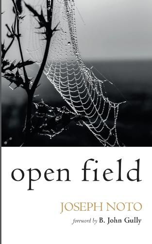 Cover image for Open Field