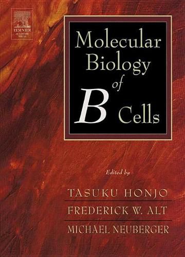 Cover image for Molecular Biology of B Cells