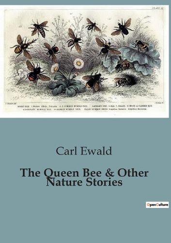 Cover image for The Queen Bee & Other Nature Stories