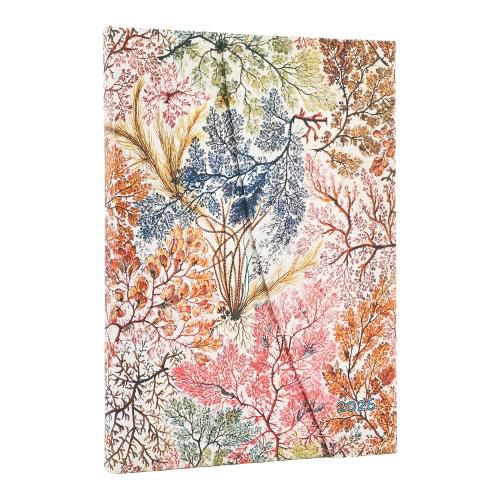 2026 Anemone (William Kilburn) Midi 12-month Verso Hardcover Flexi Dayplanner 2026 (Wrap Closure)
