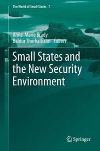 Cover image for Small States and the New Security Environment