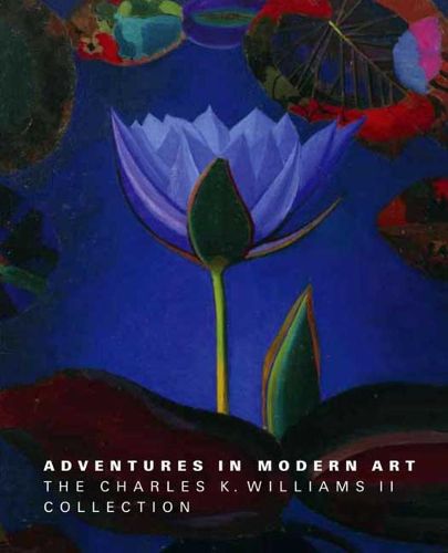 Cover image for Adventures in Modern Art: The Charles K. Williams II Collection