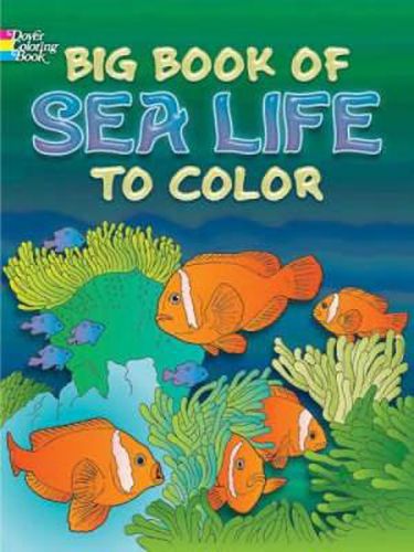 Cover image for Big Book of Sea Life to Color