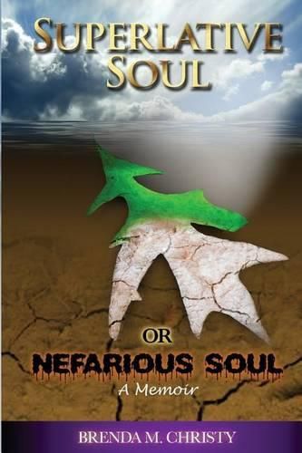 Cover image for Superlative soul or Nefarious soul