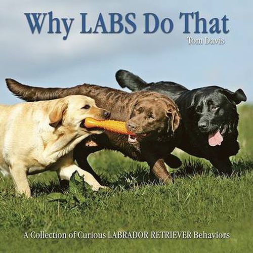 Cover image for Why Labs Do That: A Collection of Curious Labrador Retriever Behaviours