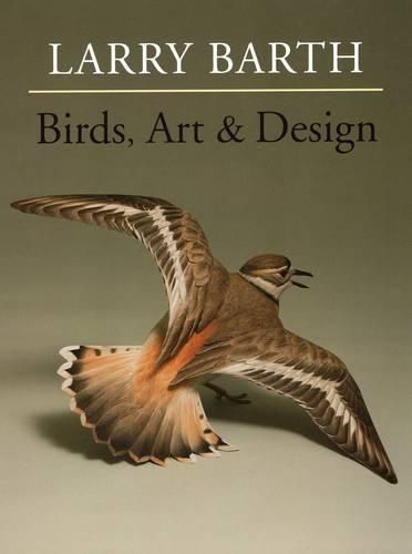 Cover image for Birds, Art & Design