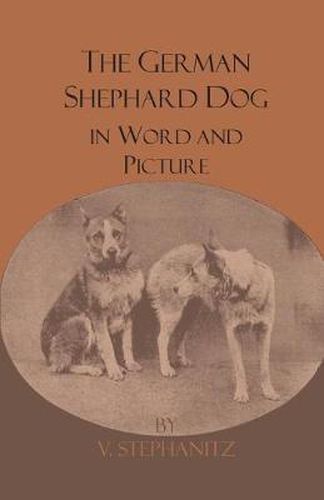 Cover image for The German Shepherd Dog In Word And Picture