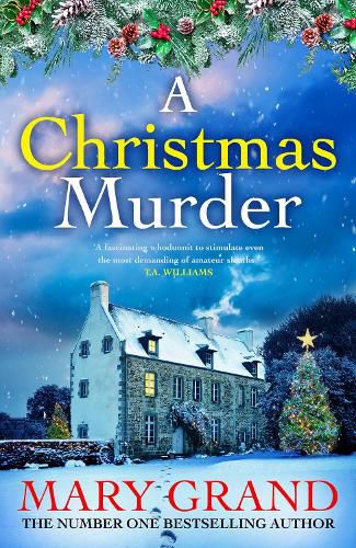 Cover image for A Christmas Murder