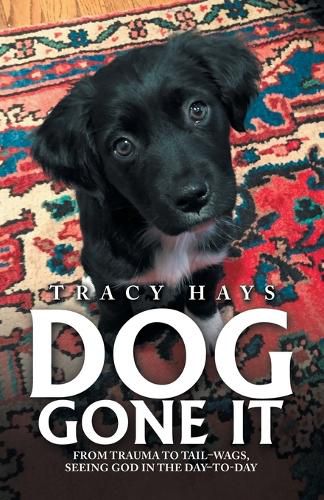 Cover image for Dog Gone It