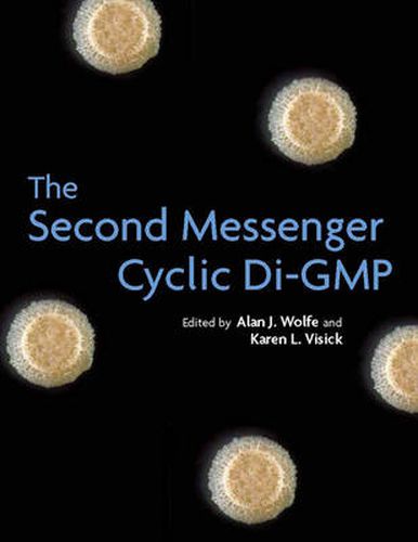 Cover image for The Second Messenger Cyclic Di-GMP