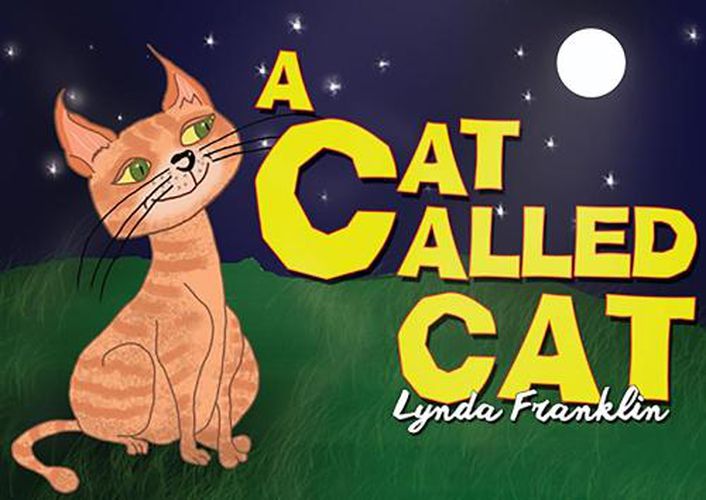 Cover image for A Cat Called Cat